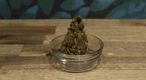 CBD Girl Scout Cookies Strain Fastbuds